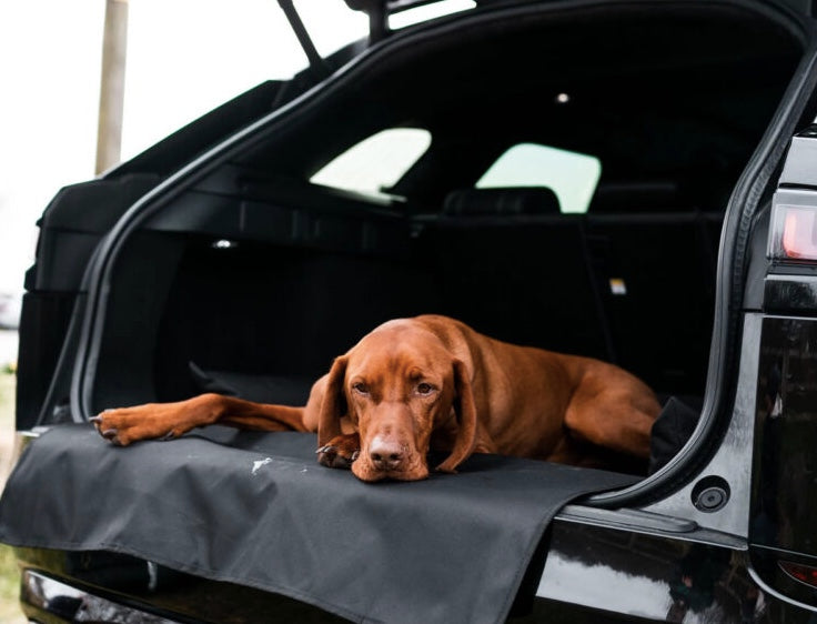 Waterproof dog bed for your car boot