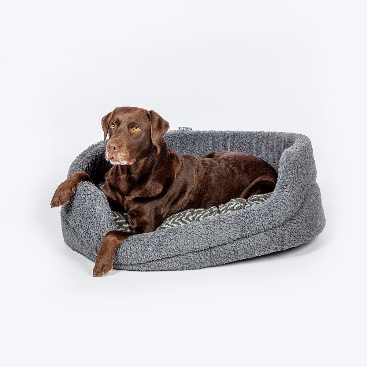 Comfortable dog beds NZ