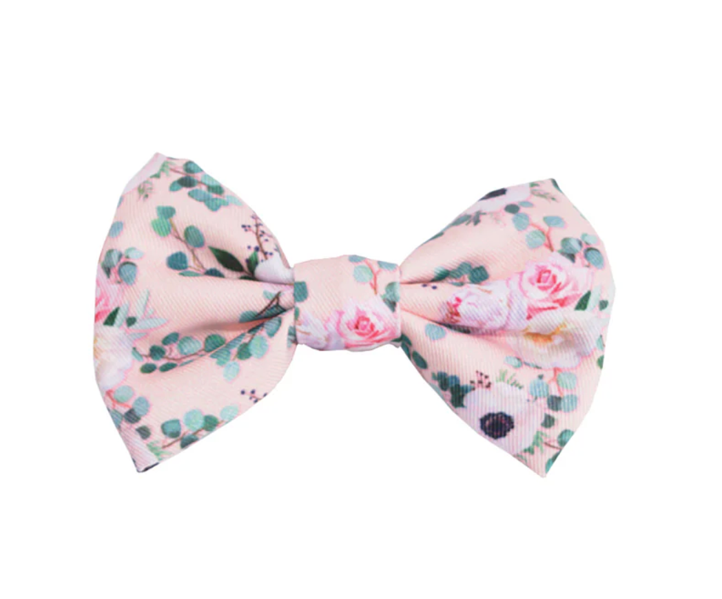 Dog bow tie NZ