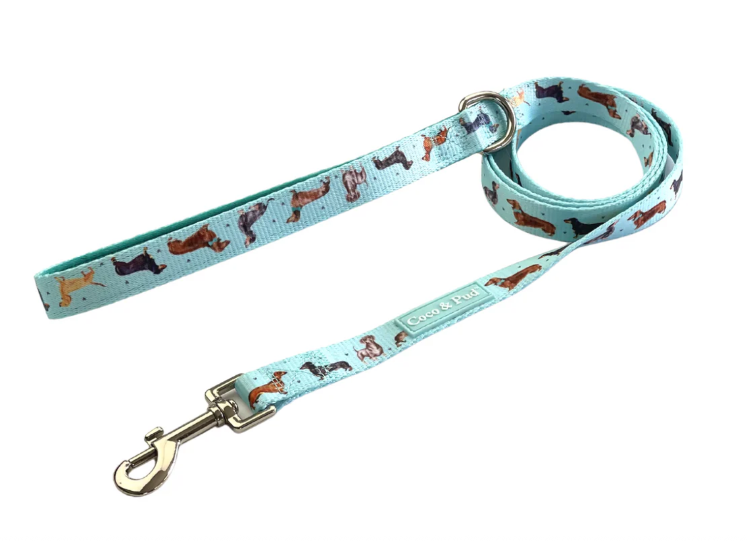 Dachshund dog lead NZ