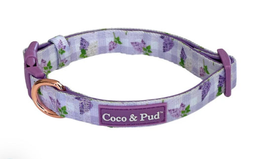 Gingham Lilac dog collar with dark lilac flowers on it.