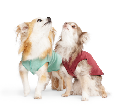 Dog fleece for large dogs NZ