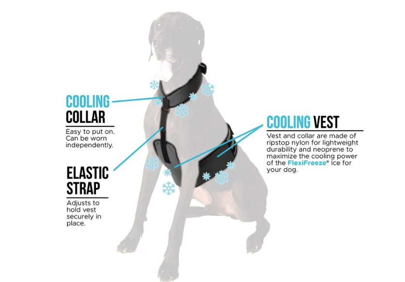 Diagram of a dog wearing a cooling collar and vest with labeled parts.