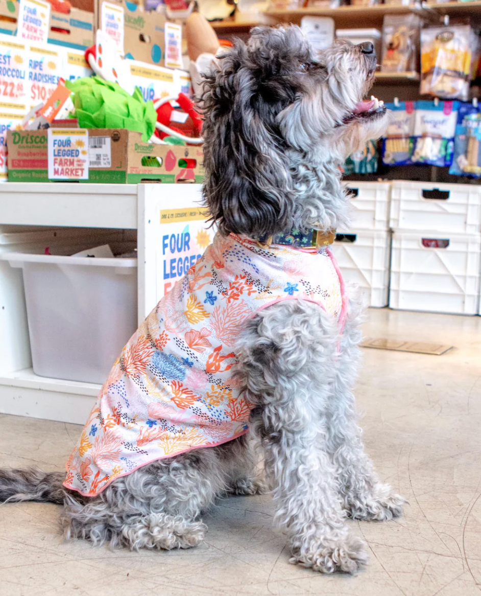 Coral Reef Dog Sun Shirt