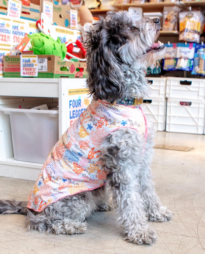 Coral Reef Dog Sun Shirt