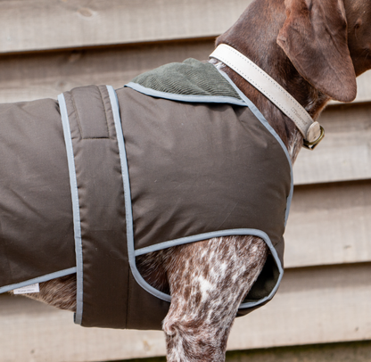 Stylish cotton wax dog coat NZ