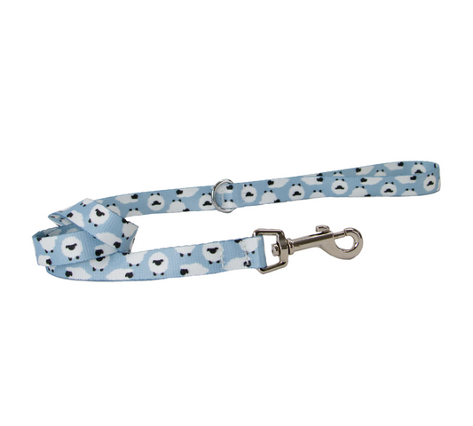 Eco dog lead NZ