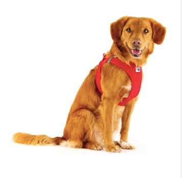 The Curli harness is a great walking harness and car harness.