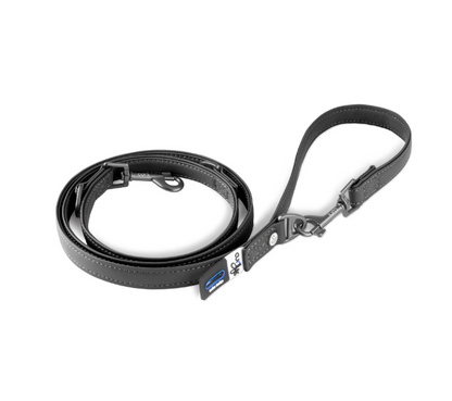 Apple leather dog leash NZ