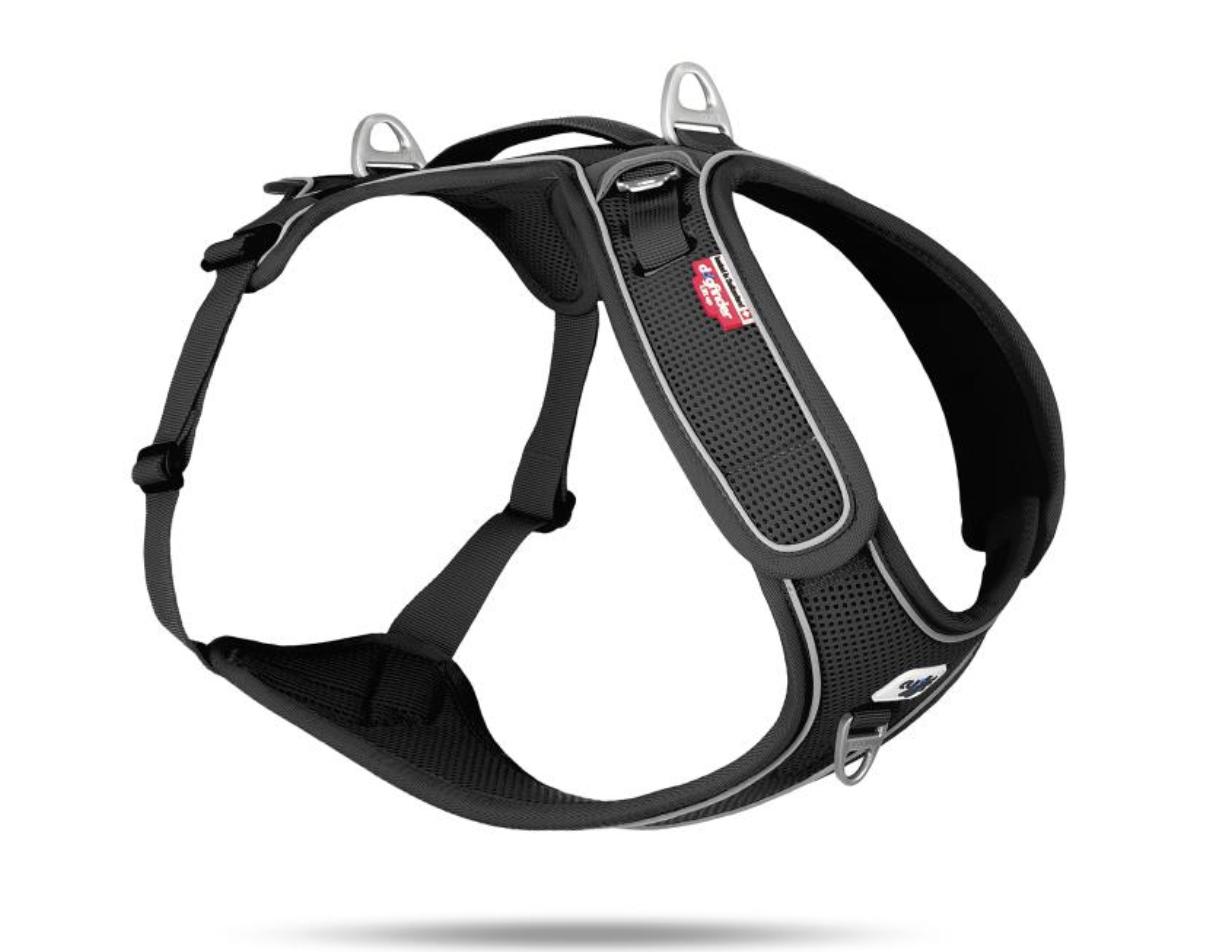 Adjustable dog harness NZ