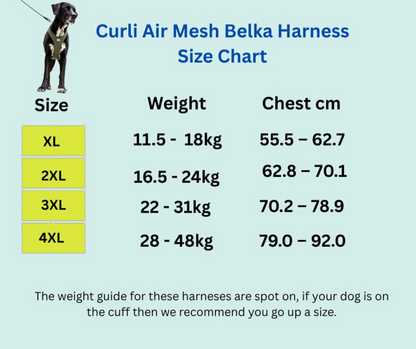Curli Belka harness size chart NZ