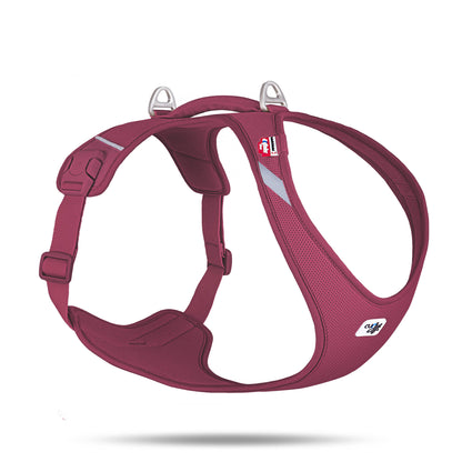 Best dog harness for walking.