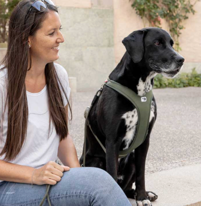 Best No Pull dog harness NZ