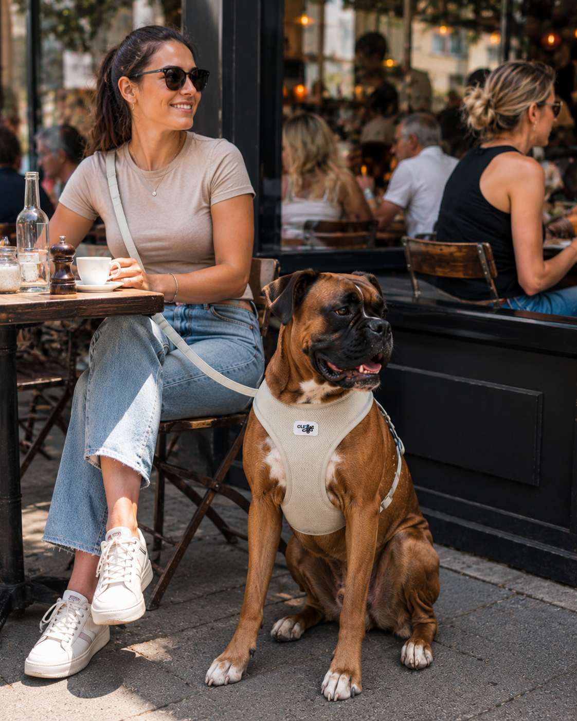 dog harness Auckland