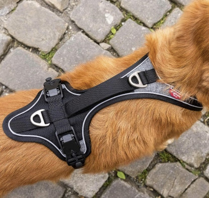 No chaffing with the Curli Belka Harness.