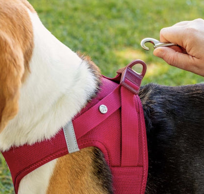 The Clasp is so easy to put on your dog and simply clip on your lead.
