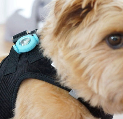 Shows how the Luumi led lights fit onto a dog harness
