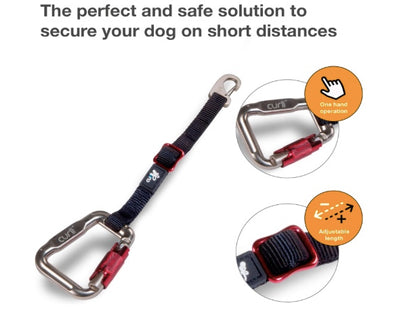Safe solutions to secure your dog in the car.