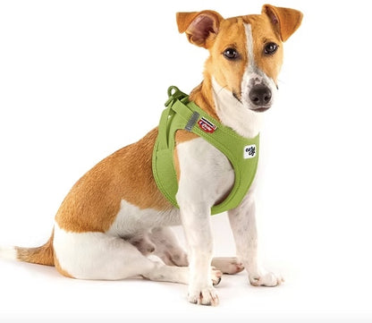 Fox terrier wearing the Curli Lime Green dog harness