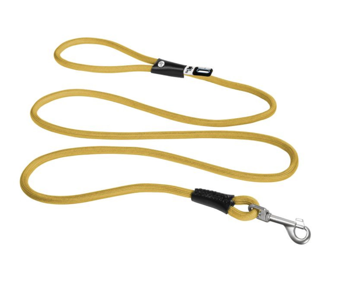 Comfortable dog lead NZ