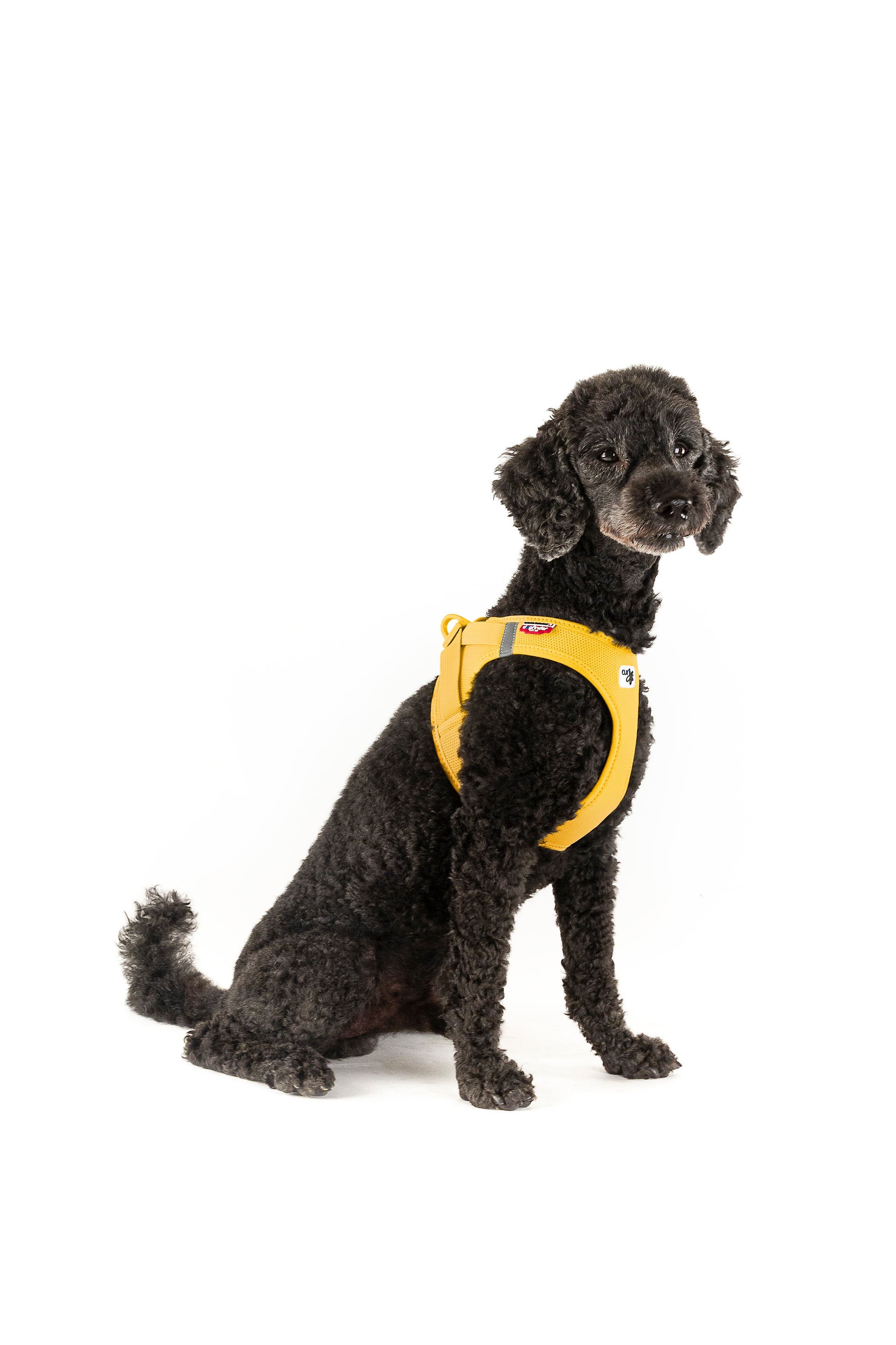 Curli Vest Harness Clasp Mango NZ