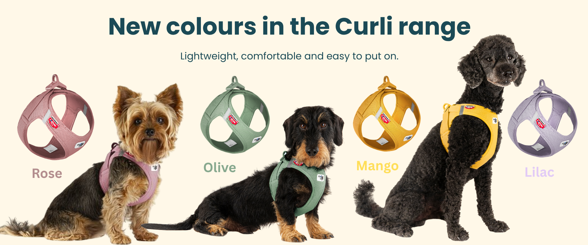 Best small to medium dog harness NZ