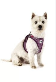 Prince Purple Curli Clasp Limited Edition  Dog Harness New Zealand