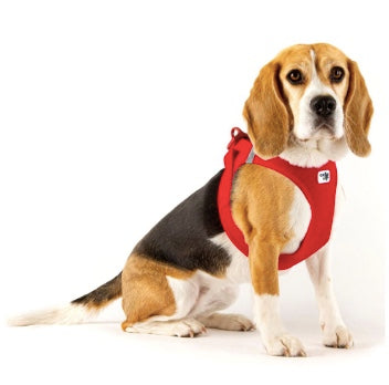 Beagle wearing the size large Curli Vest Harness Red.