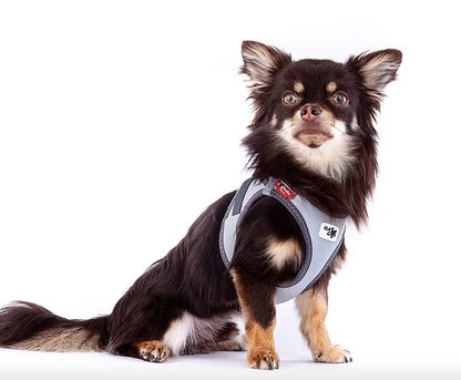 Curli Highly Reflective dog harness for small dogs.