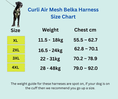 Curli Belka Dog harness NZ