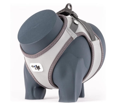 Show how perfectly the Curli Harness fits a dog.
