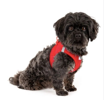 The best dog harness for small dogs