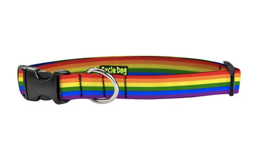 Rainbow Pride dog collar