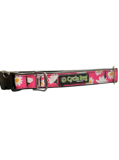 Durable dog collar Daisy