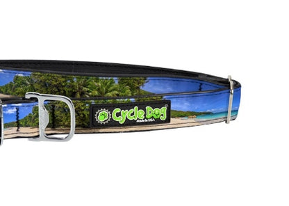 Durable dog collar made from recycled materials.