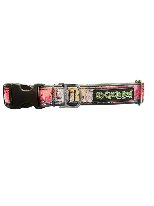 Waterproof dog collar with durable buckle.