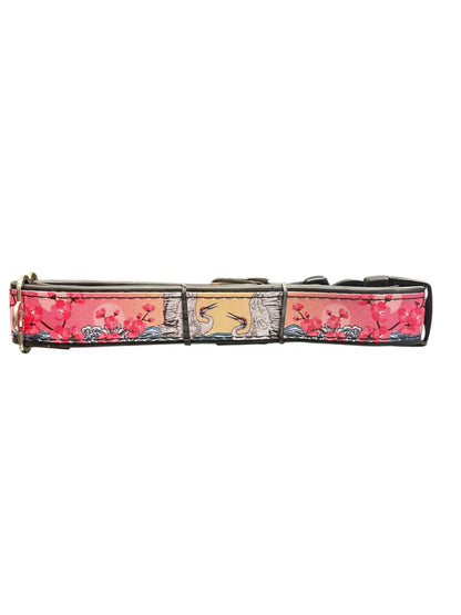 Pretty durable Cherry Blossom dog collar.