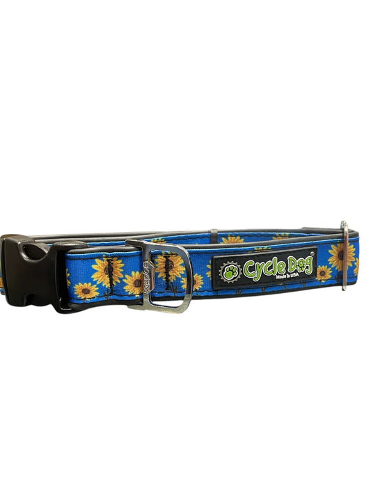 Dog collar made from recycled materials.