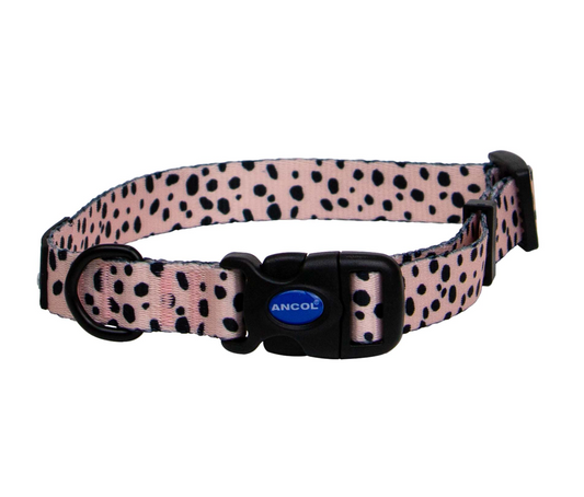 dog collar with spots NZ