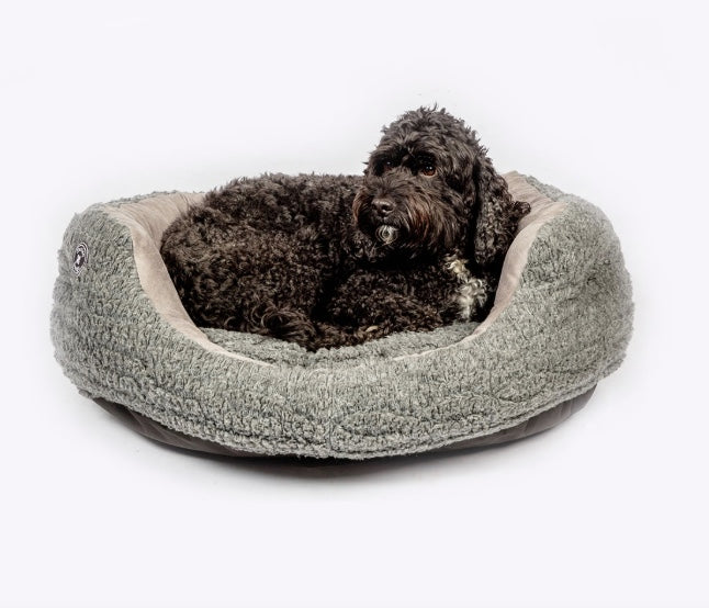 Slumber dog bed NZ