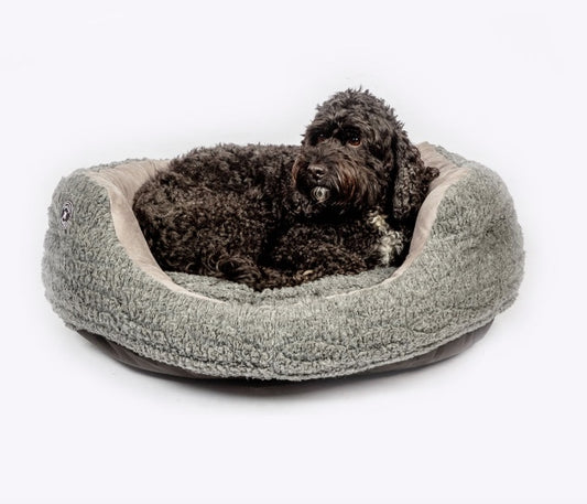 Slumber dog bed NZ