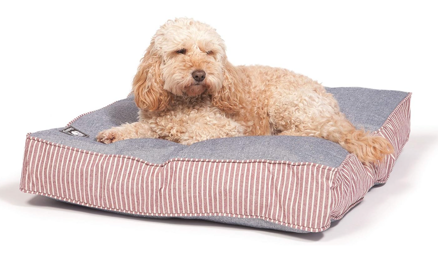 Dog lying on a Danish Design Boxed Duvet mat New Zealand
