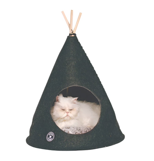 Cat sleeping in the cat teepee