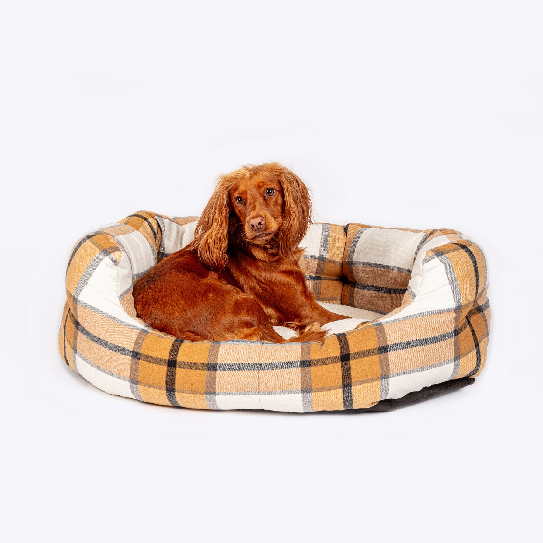 Pet bed NZ
