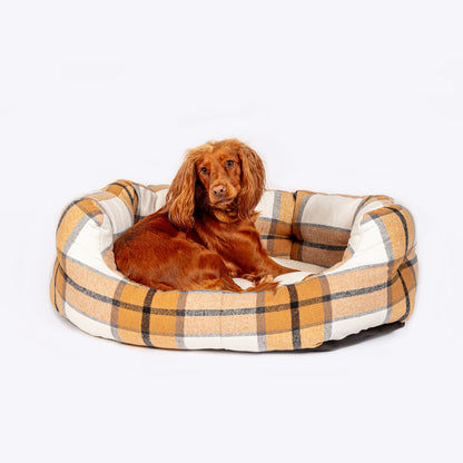 Pet bed NZ