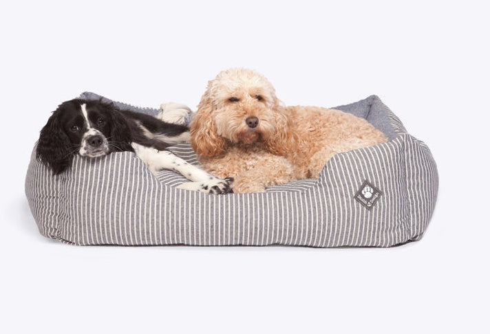Best Dog bed NZ
