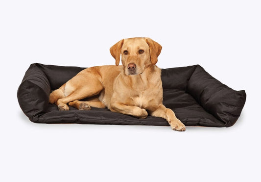 Protect your car boot with this good quality boot bed for dogs.