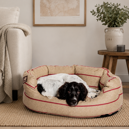 High sided dog beds NZ