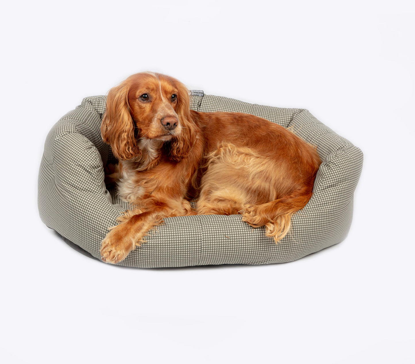 Best quality dog beds NZ