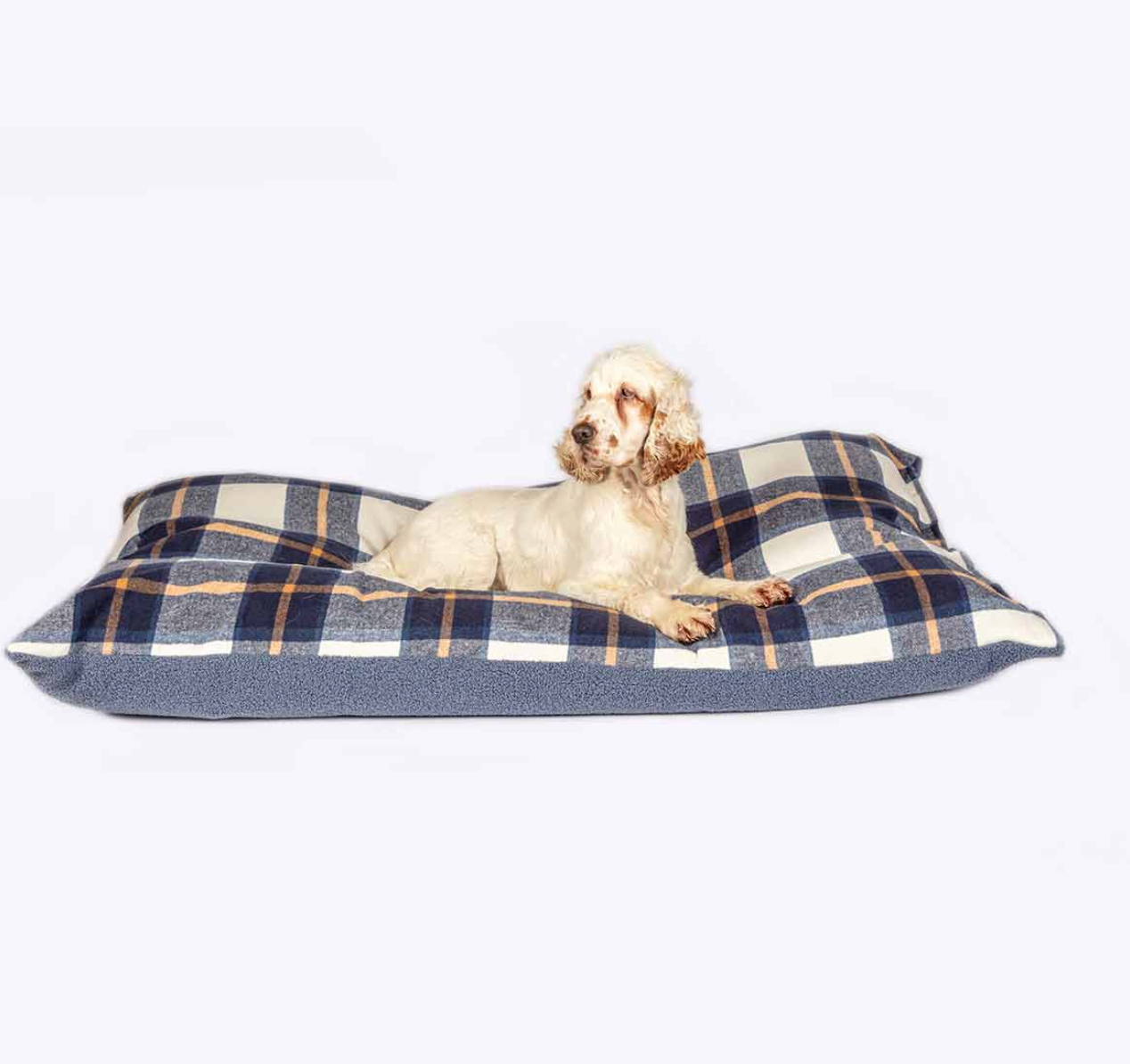 Dog mat NZ